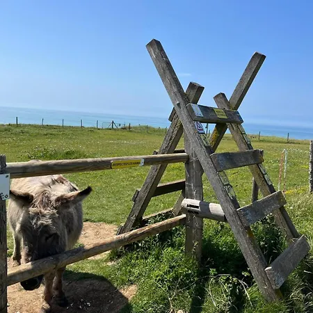 Le Trait De Cote Vue Commerces Et A Pied 公寓 *
