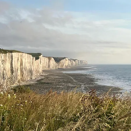Le Trait De Cote Vue Commerces Et A Pied