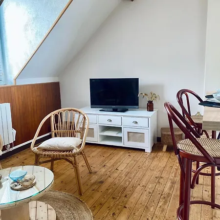 Le Trait De Cote Vue Commerces Et A Pied 奥尔特